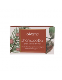 Sampon solid pentru par deteriorat